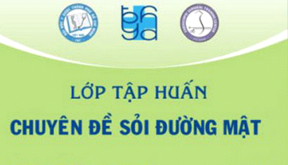 Lớp tập huấn: Chuyên đề Sỏi đường mật 09-11/04/2008