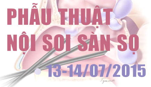 Chương trình đào tạo y khoa liên tục chuyên đề: Phẫu thuật nội soi Sàn sọ