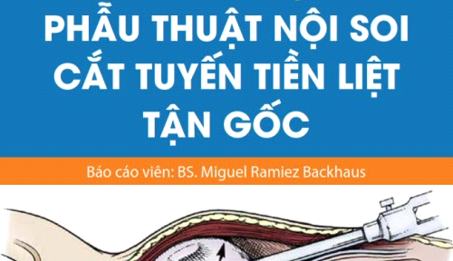 (11/01/2018) Hội thảo chuyên đề: phẫu thuật nội soi cắt tuyến tiền liệt tận gốc
